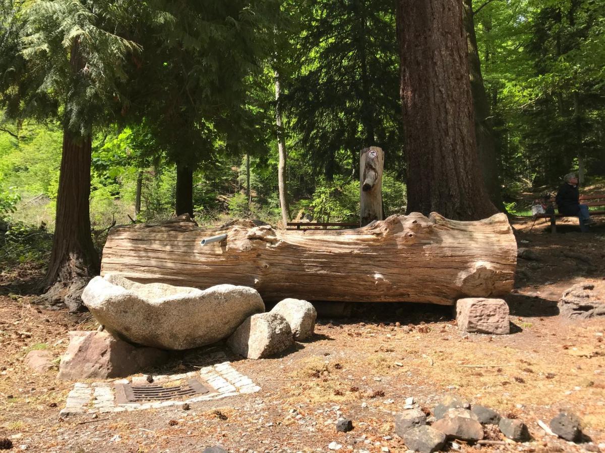 Kull Von Schmidsfelden 3*